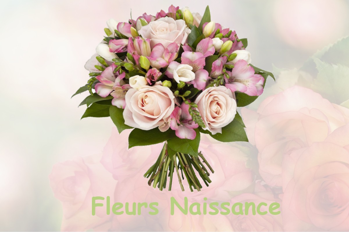 fleurs naissance MONTBLAINVILLE